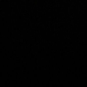 Meet your Posher, Ava